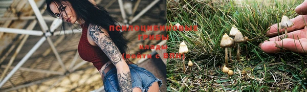 молекула духа Балабаново