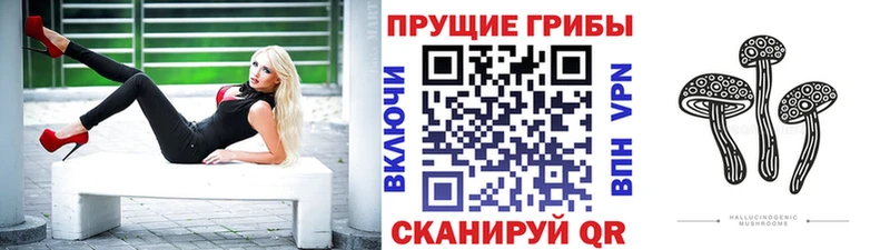 Псилоцибиновые грибы ЛСД  Губкинский 